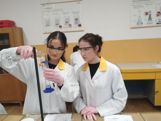 IMG 20251010 101531602